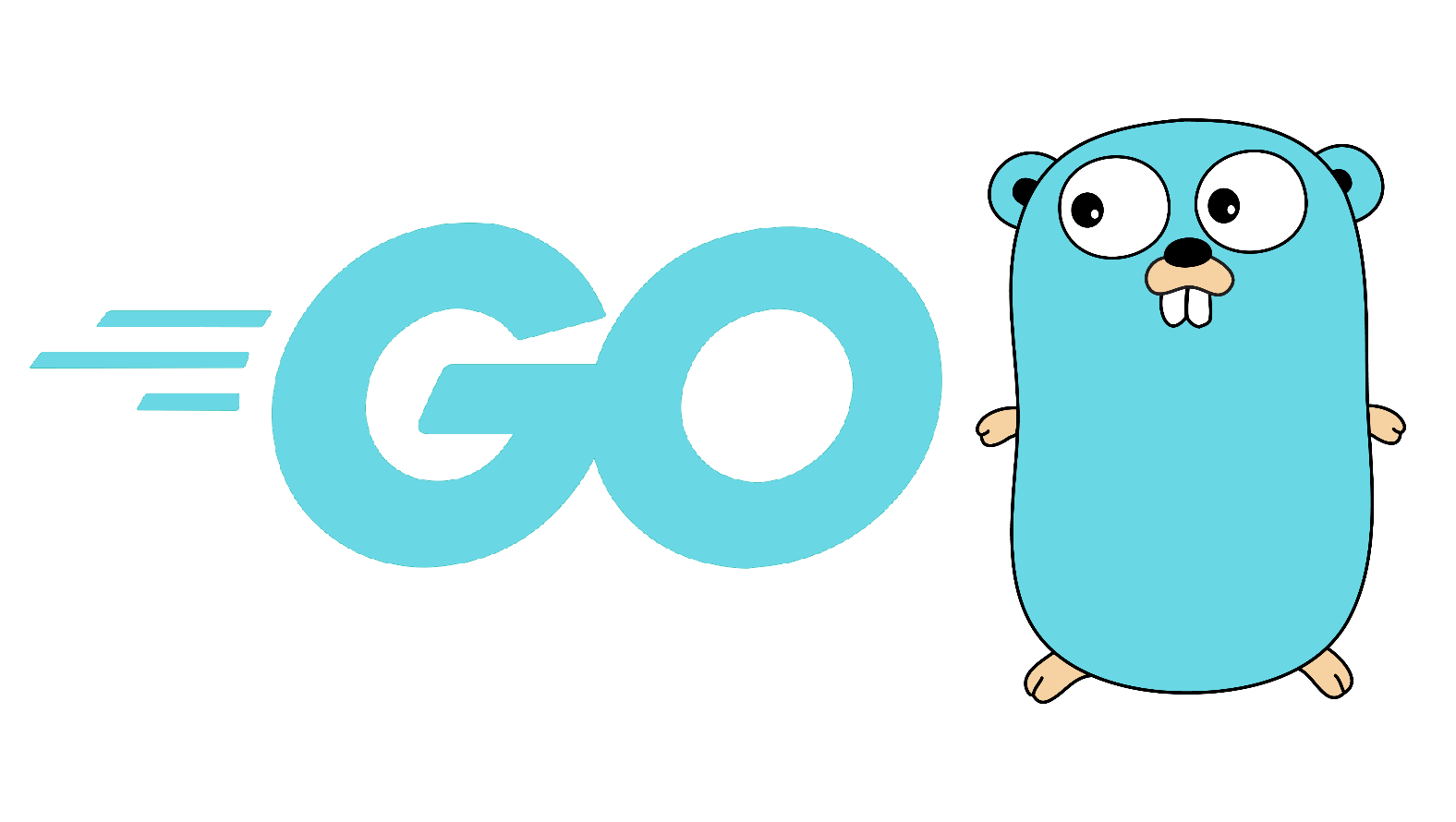 What is Golang and How to Install it?