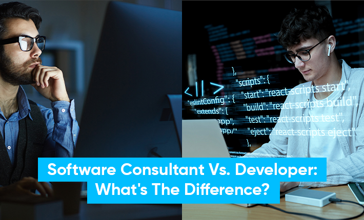 Software Consultant Vs. Developer: What's The Difference?